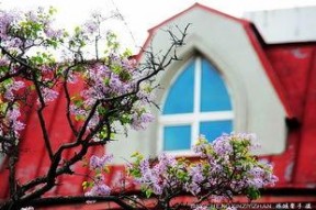 丁香五月国产,国产生态的生机盎然