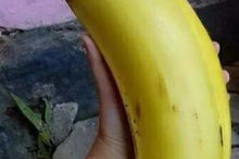 大香蕉亚洲国产,揭秘本土影视产业的崛起之路