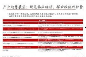 国产51页,揭秘中国科技发展的新篇章